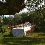 Tavolo da pranzo allestito sotto gli ulivi in una villa con giardino a Capo d'Orlando, ideale per eventi e cene estive.