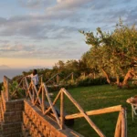 Vista panoramica al tramonto dalla villa con giardino di ulivi a Capo d'Orlando