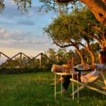 Relax tra gli ulivi al tramonto in villa con giardino a Capo d'Orlando